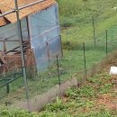 예동농장 이미지