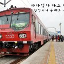 북평우시장 | 코레일 바다열차 :: 동해안 기차 당일여행 정동진 바다열차 여름 강원도 여행