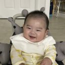 인셉트 네이버블로그