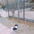 북서울꿈의숲(라포레스타) 이미지