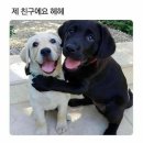 메르디안