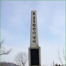 동락초등학교 티스토리