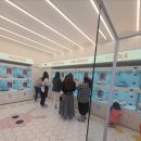 강아지분양 테디럽 이미지