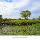 삼락생태공원 이미지