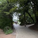 평창 오대산 중대 소종 | [강원/평창군/진부면] 오대산 선재길 | 월정사~상원사 트레킹 &amp; 천년의 숲 전나무숲길 (feat. 세조와...