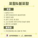 헬로여행사