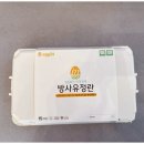 에그24 이미지