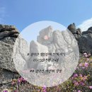 [설악산 ] 대청봉 ~서북능선 등산코스 털진달래와 함께하는 5월 산행후기