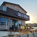 38.5DOG | (애견카페 후기) 청주 38.5 DOG [38.5도그] 이용후기