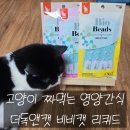 앤더독 | [눈에 보이는 비즈 캡슐 알갱이 고양이 영양 간식] 더독앤캣 비비캣 리퀴드 15살 고양이 땅콩이 급여후기