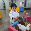 모전목장 | [26개월] 아기랑 단둘이 남해 가볼만한곳 상상양떼목장 편백숲 다녀온 후기