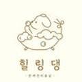 힐링댕 이미지