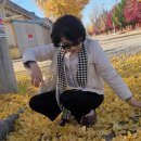 농공단지길 이미지