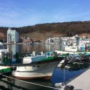 대변항2 이미지