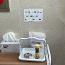 세븐일레븐 삼척비치점 | 삼척 콩앤삐 펜션 내돈내산 후기, 유채꽃 축제 숙소 추천