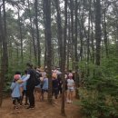 모당초등학교 이미지