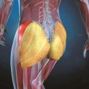 가양 PT 퓨어바디짐 이미지