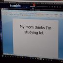 주석목장 이미지