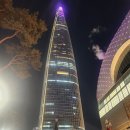 롯데 시그니엘 와인 마키노차야 블랙 31 미드나잇 145 내돈내산 후기