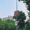 동호레져주식호사 | 한강 요트투어 반포한강공원 마린모나크 노을 야경 시간대