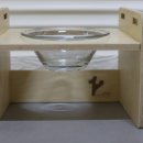 반려반상 이미지