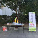 (주)이테시스