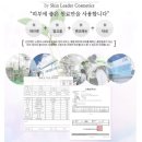 다즐링데이즈