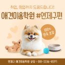 연제구기초푸드뱅크 | 연제구 애견미용학원 주말에도 가능한 곳 추천!