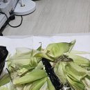 봉구싸롱오산대점