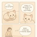 루시캣 이미지