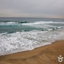 추암~증산해변 이미지