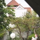 송구가든 이미지