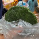 남문패션1번가시장 | 이번 주말 뭐하지? &lt;수원 팔달문 전통시장&gt;