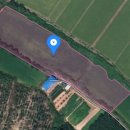 세지면사무소 앞 이미지