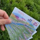 두 Y자(주말) 이미지