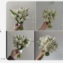 아미가플라워 - 중구 송학로 11-1 | 아미가플라워