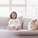 애완동물원 이미지