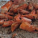 대하하이퍼 이미지