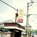 대가야테마파크 주차장 티스토리