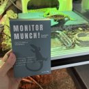 더스팅카페 | 모니터먼치(MONITOR MUNCH!) 급여 후기｜액키모니터 ‘호떡’ & 퀸스모니터 ‘뽀또’