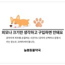 이웃집약국 이미지