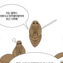 봉산암반수송어회 | 청주 피반령 송어나라 맞습니다 제가 그 송어에 진심인 남자 내돈내산 솔직후기