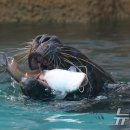 먹고힘내 이미지