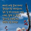 아름다운삶 이미지