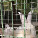 더멍스테이 이미지