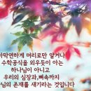 하막 Daum카페