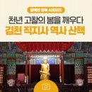 111 | 천년 고찰의 봄을 깨우다: 김천 직지사 관람 가이드 및 역사 산책