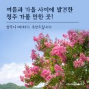 김기창농장 | 청주가볼만한곳 여름과 가을 사이에 발견하다!
