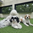 청담유치원 이미지