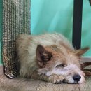 민우네바지락칼국수 이미지